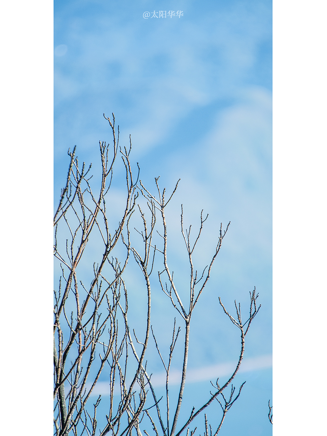 风光《梧桐山望》| Photo 2021 @太阳华华(图ZMjQ0Mzk4Njg4) - 风光摄影 - 站酷设计师太阳华华原创素材 - 站酷ZCOOL