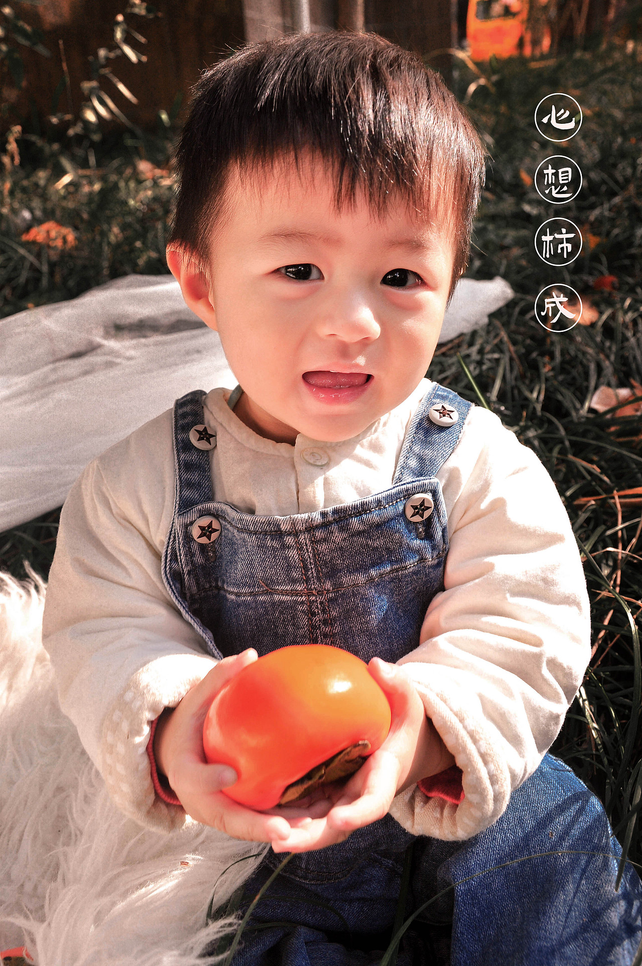 秋.柿（图ZMjMwNjQ1Njky） - 人像摄影 - 站酷设计师芸夏的夏天原创素材 - 站酷ZCOOL