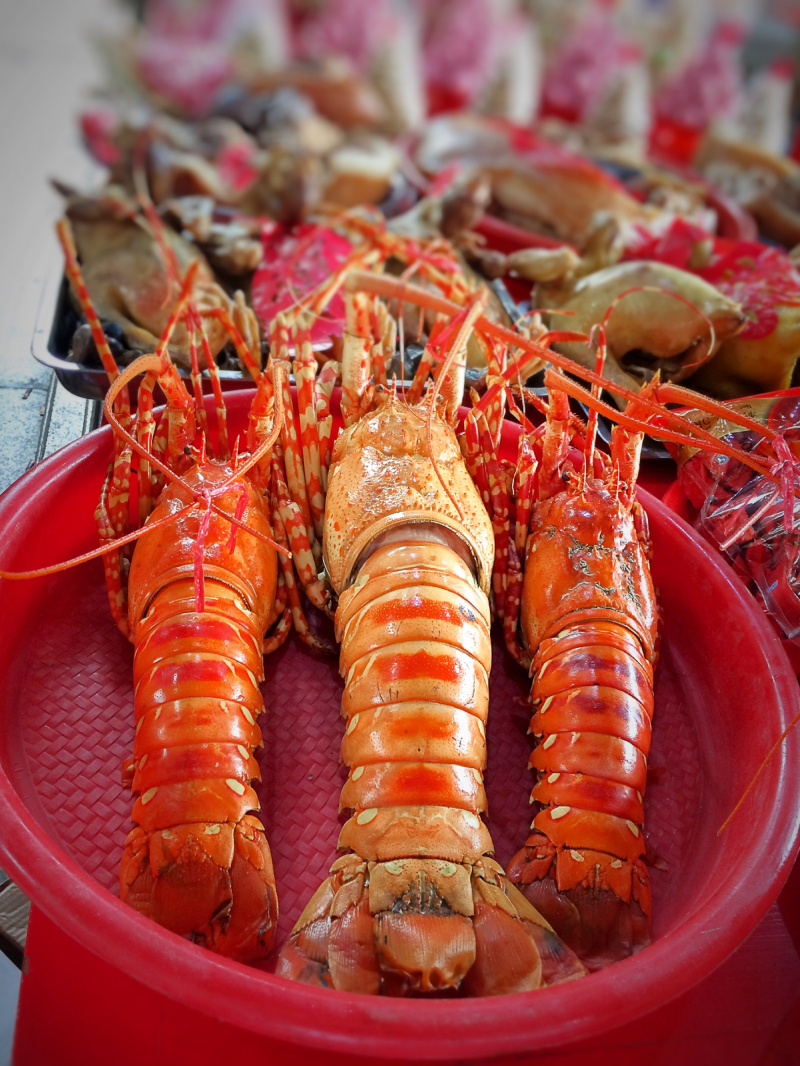 十二年一次乙未年田心乡七圣娘娘换金身庆典活动