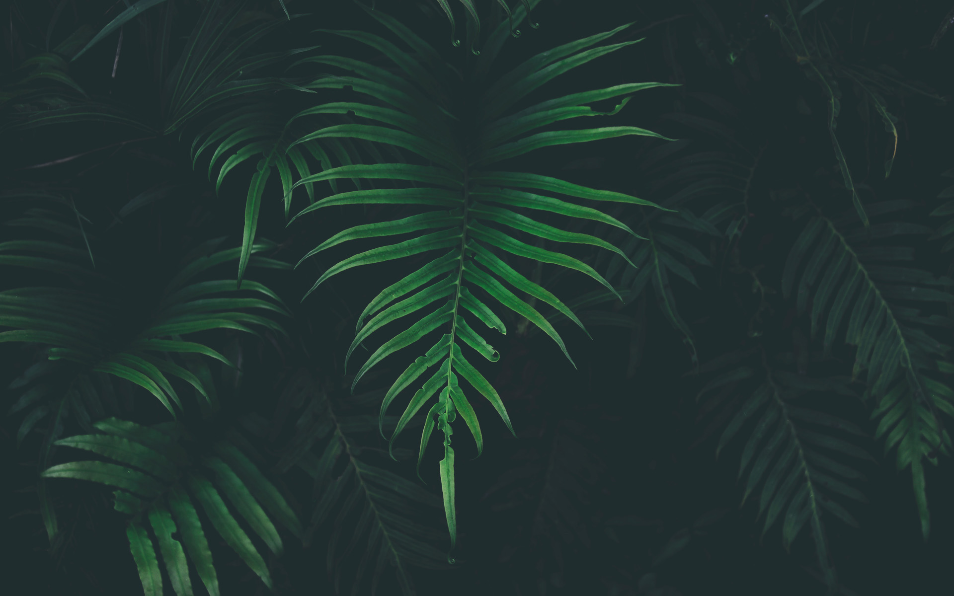 Tel18738183122的个人主页（背景预览） - 主页背景设置 - 站酷设计师Tel18738183122原创素材 - 站酷ZCOOL