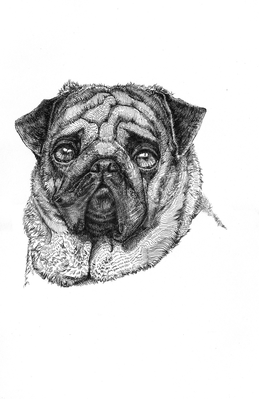 "初现"毕业设计针管笔手绘稿