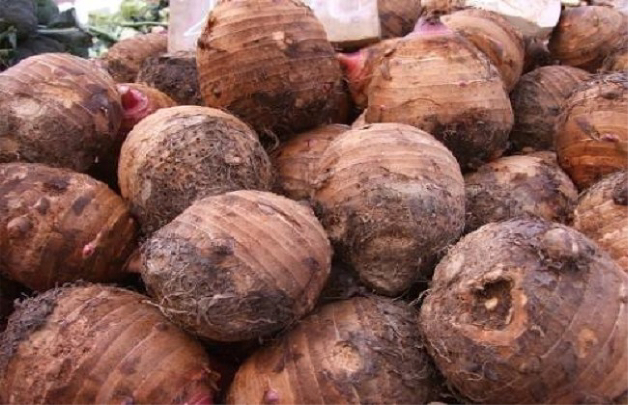 山厦村 | 芋乡美地 山下人家