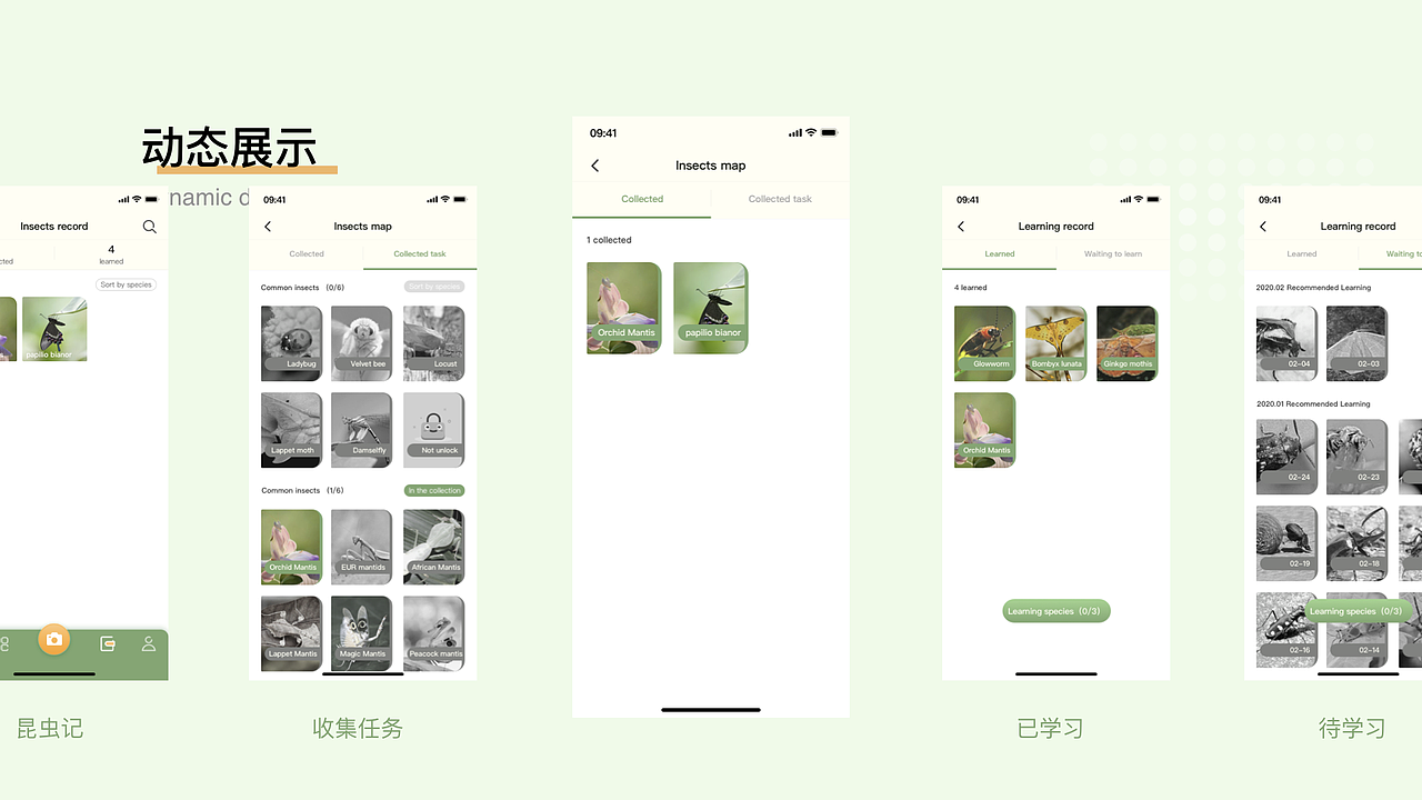 昆虫记app设计（图ZMjAwNjM3MDcy） - APP界面 - 站酷设计师玛嘉烈没有风筝原创素材 - 站酷ZCOOL