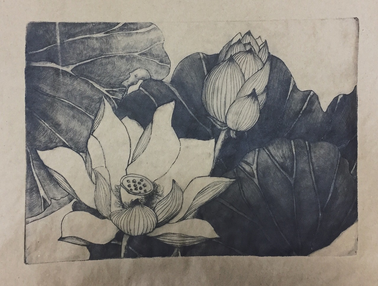 荷花呀/美人鱼呀-原创版画(透明板/石板/铜板)