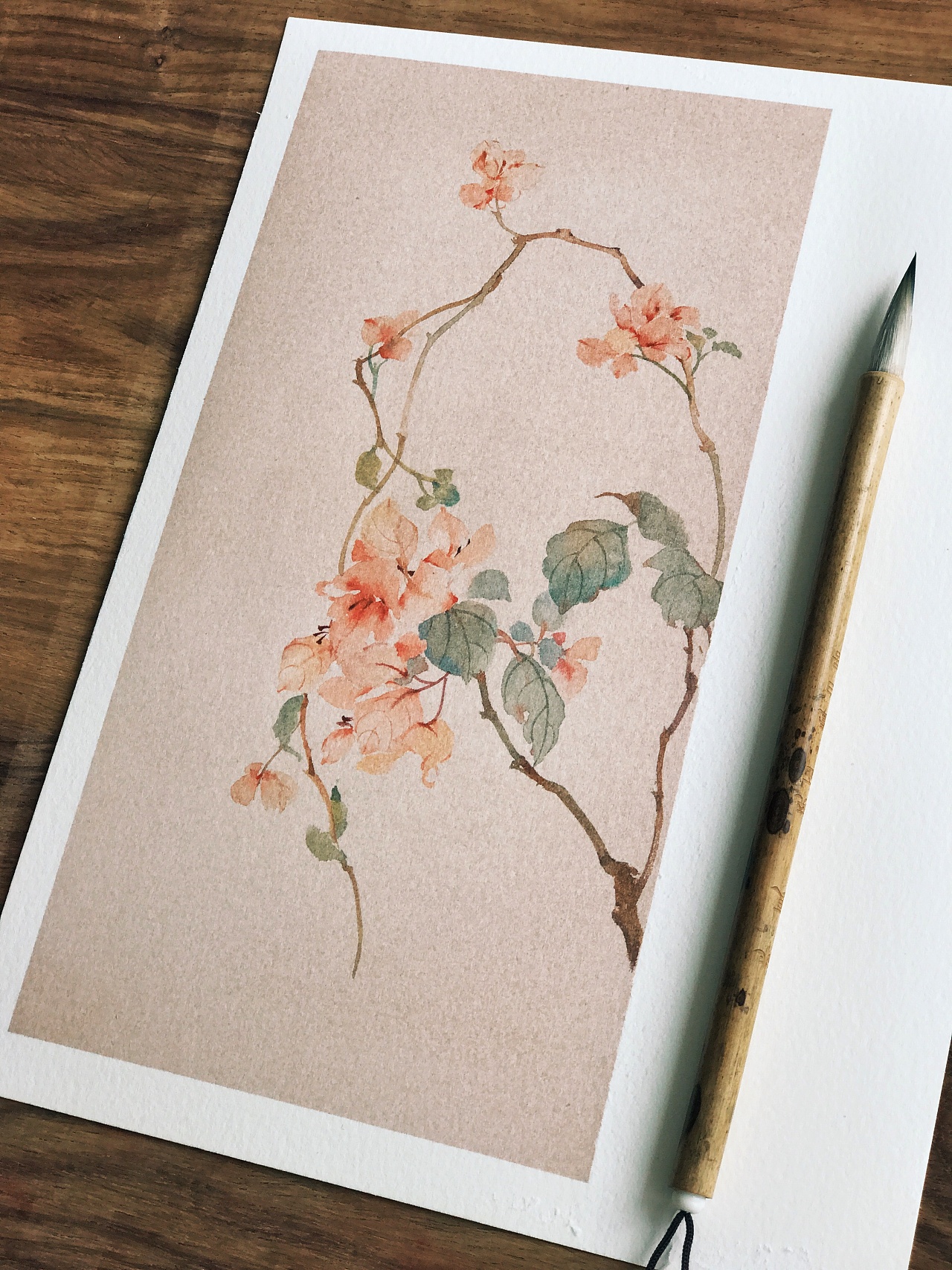 点绛唇.三角梅|插画|创作习作|leah晓涵 - 原创作品 - 站酷 (zcool)