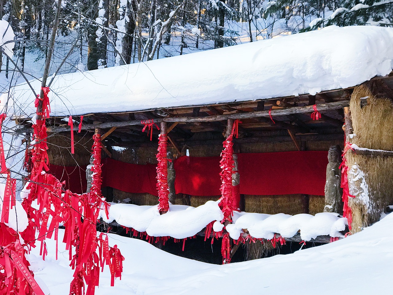 颤抖在东北（图ZMTAzODMzMjIw） - 风光摄影 - 站酷设计师322的233原创素材 - 站酷ZCOOL