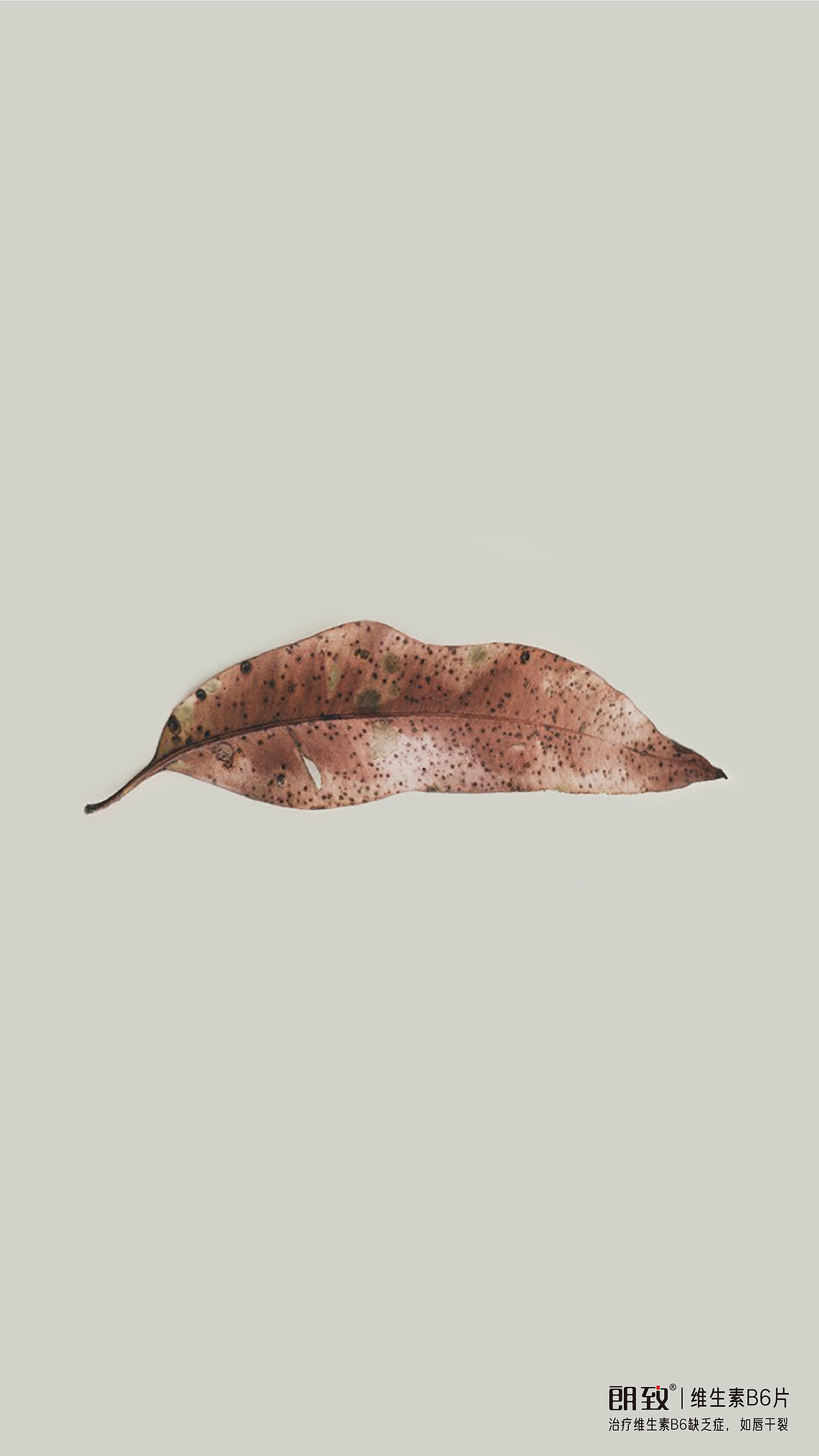 我在药企做设计