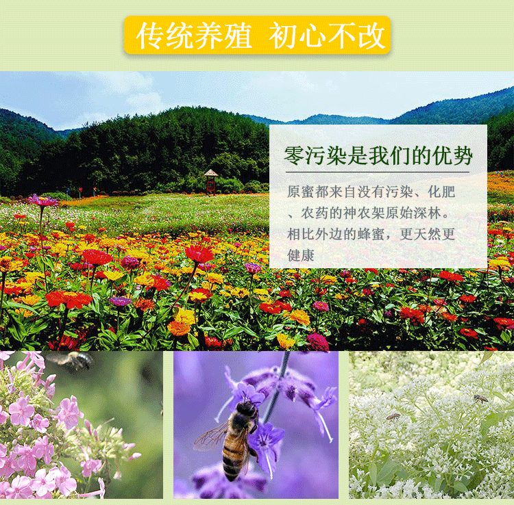 蜂蜜详情页（图ZMTI1MjM0OTg4） - 其他平面 - 站酷设计师三分鈡热度原创素材 - 站酷ZCOOL