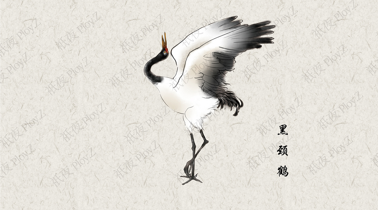 主题插画绘制及海报设计 手绘动物:白眉长臂猿,虎,亚洲象,黑颈鹤,滇