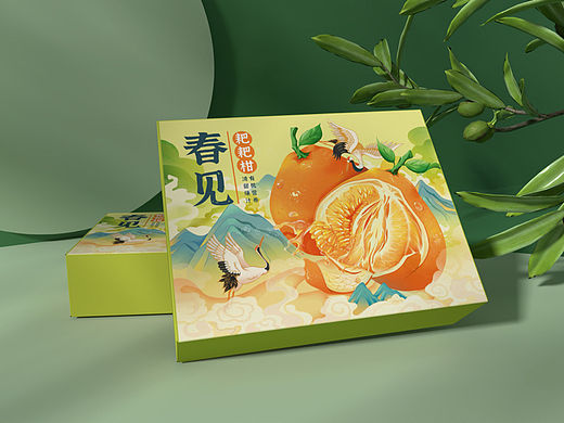 中国风耙耙柑包装