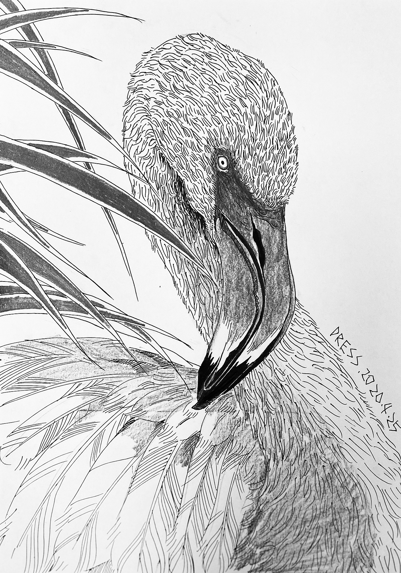 手绘中性笔照片速写