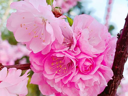 2020年 春暖花开的季节