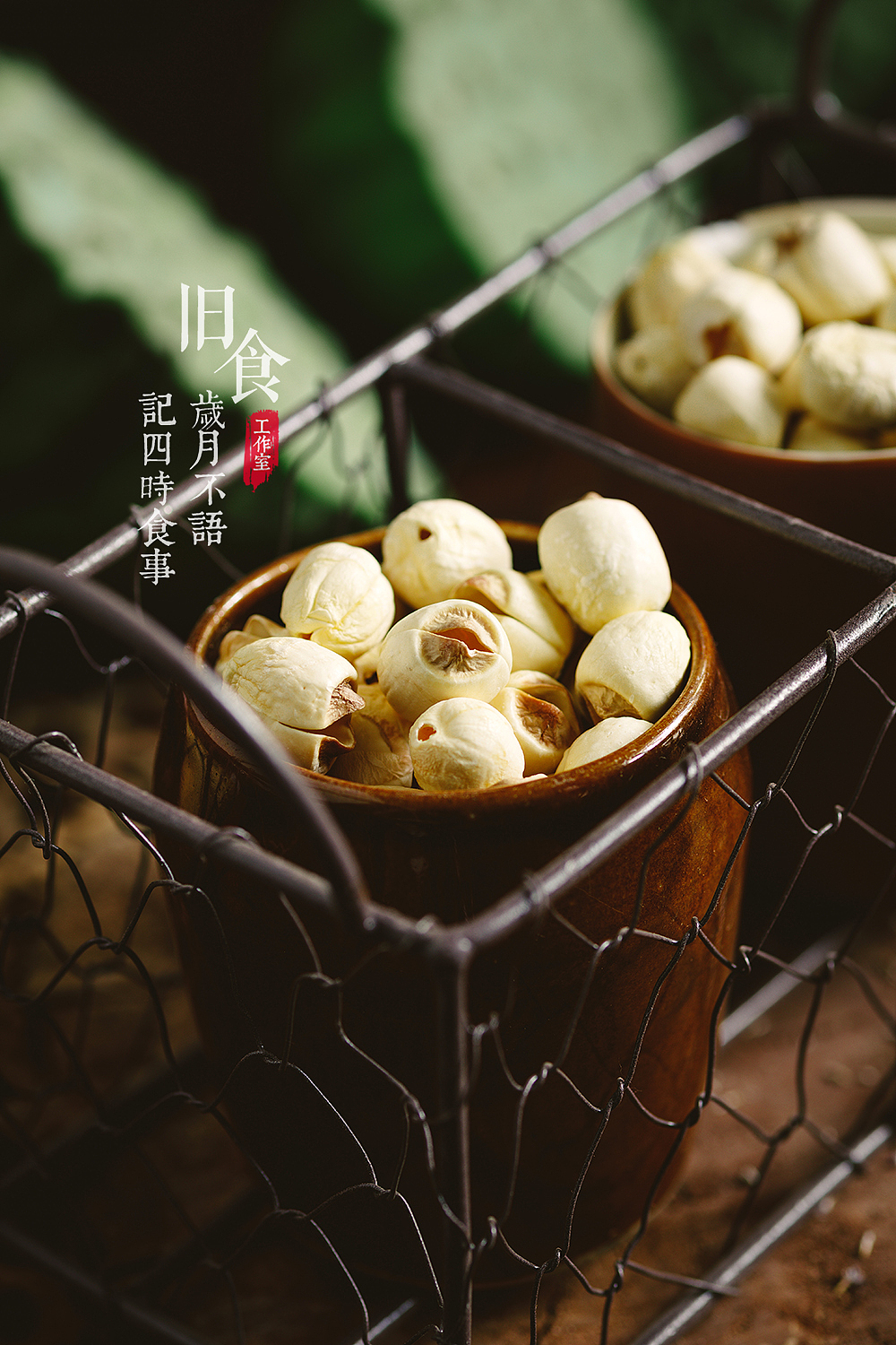 荷花与莲子（图ZMjE1MTA3NzEy） - 产品摄影 - 站酷设计师旧食原创素材 - 站酷ZCOOL