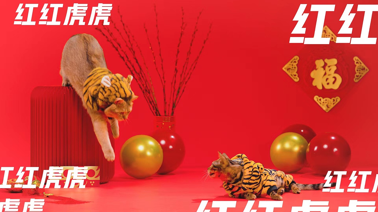 珀珀宠影x红魔游戏手机之过年贺岁小片