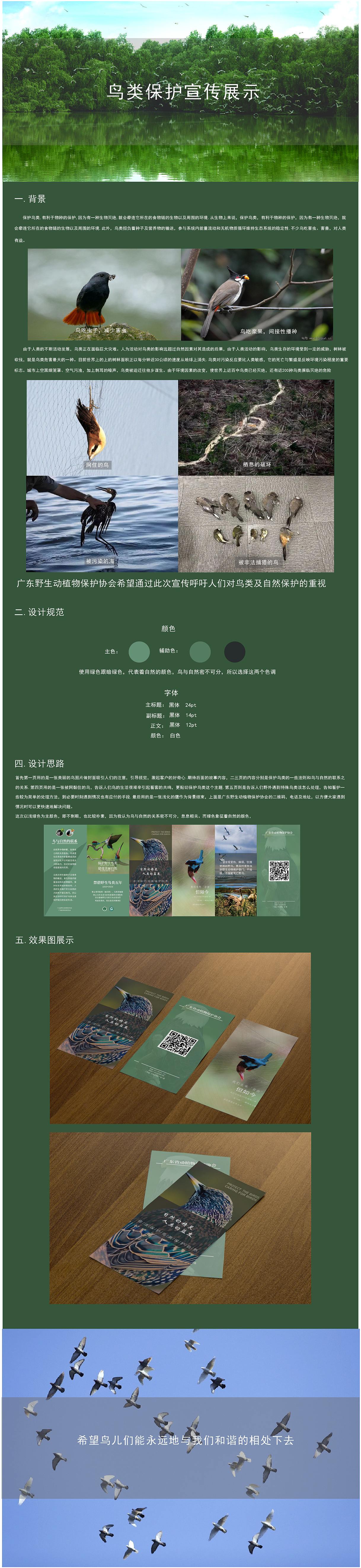 鸟类保护宣传三折页包装（图ZMjg0NDQyMDYw） - 包装 - 站酷设计师阿伟在哪里原创素材 - 站酷ZCOOL