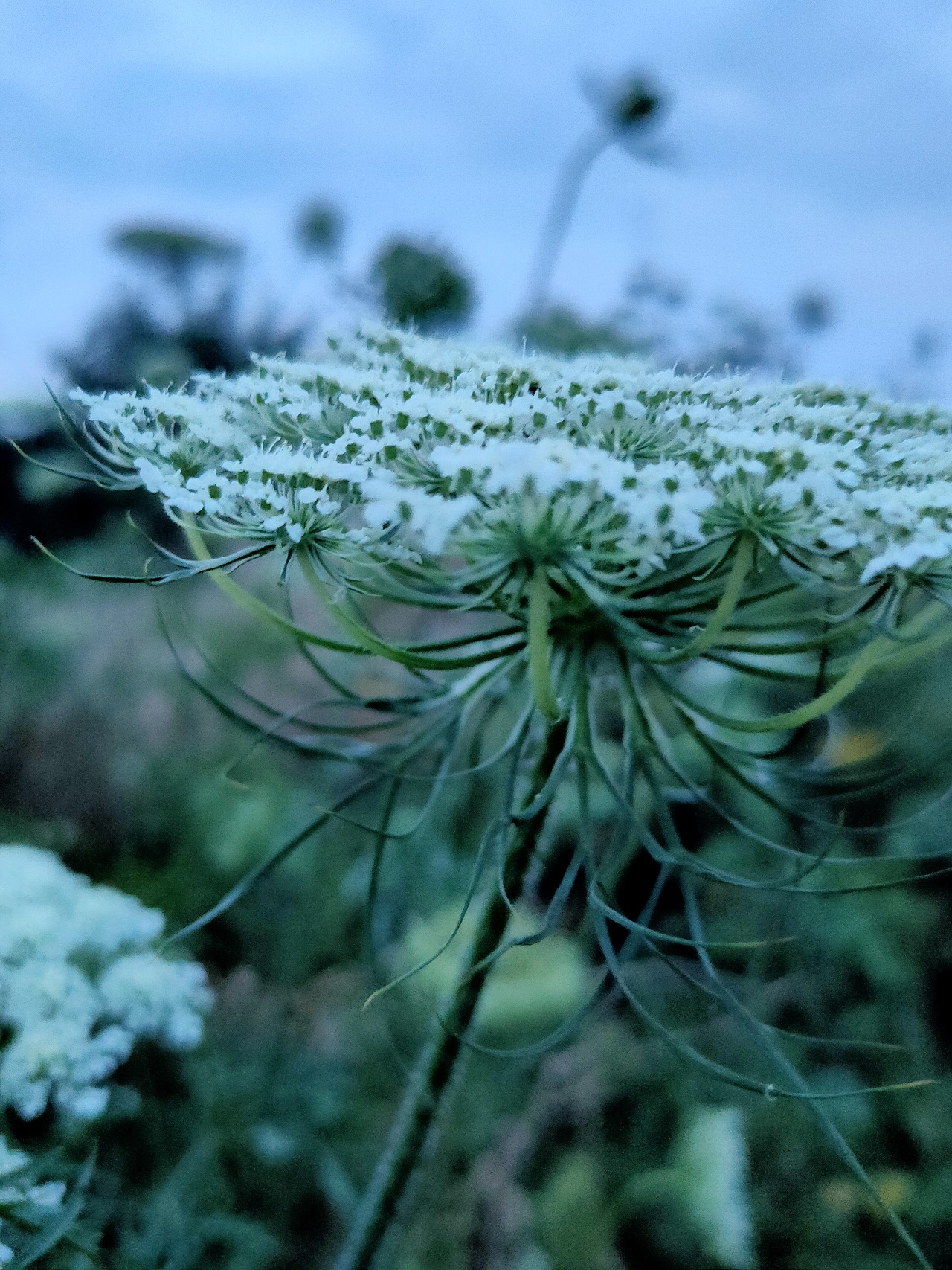 隨手拍（圖ZMjM3NTI2MTA0） - 風(fēng)光攝影 - 站酷設(shè)計(jì)師何處尋安暖原創(chuàng)素材 - 站酷ZCOOL