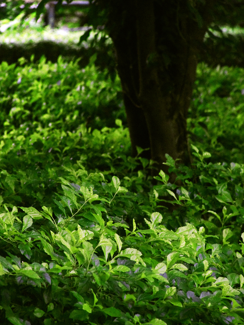 我在的城市（图ZMzAyNjc0NA==） - 风光摄影 - 站酷设计师一居久永留一原创素材 - 站酷ZCOOL
