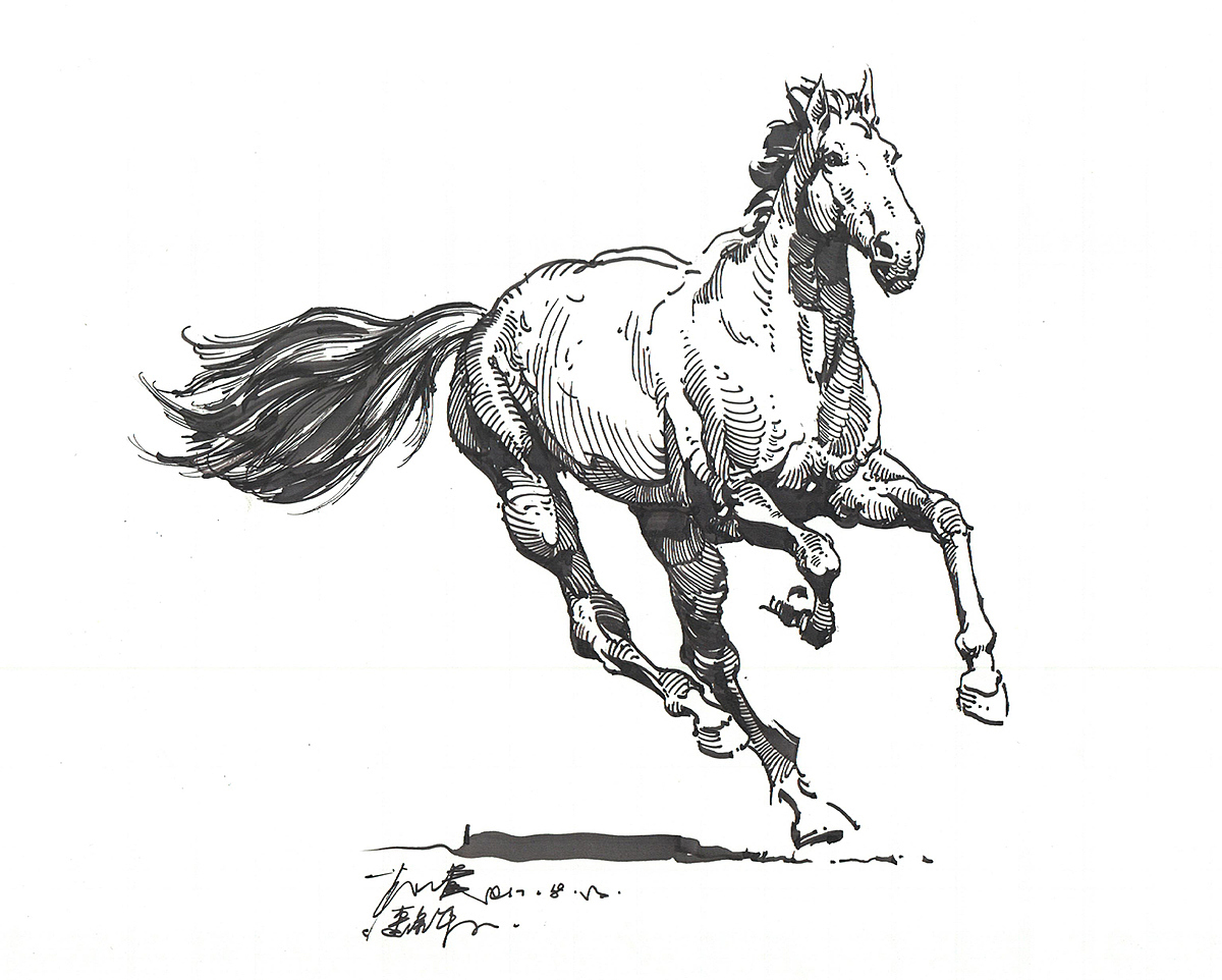 猫猫狗狗马马 ……小集（图ZOTg5NjAyNzY=） - 绘画 - 站酷设计师DX_IDO原创素材 - 站酷ZCOOL