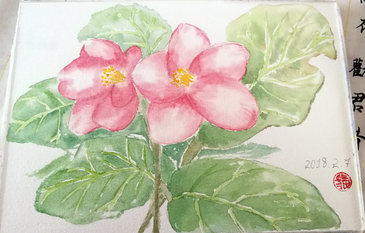 水彩花卉涂鸦插画练习植物水彩