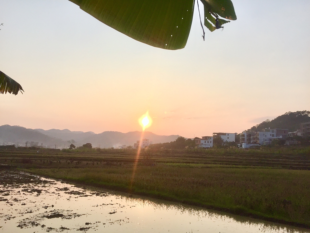 2020.2.22日落時(shí)分的田園風(fēng)光（圖ZMTk2NTQ4MzEy） - 人文/紀(jì)實(shí)攝影 - 站酷設(shè)計(jì)師年糕ddd原創(chuàng)素材 - 站酷ZCOOL