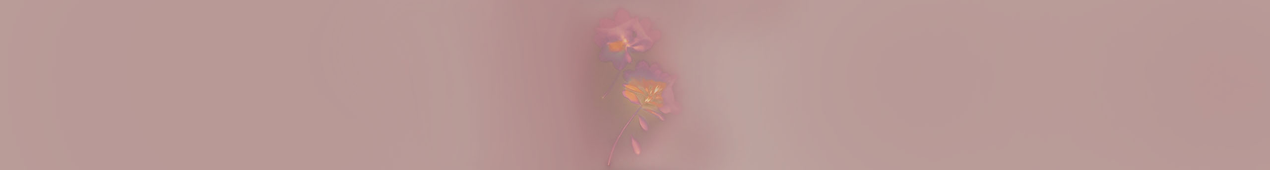 Camille柯柯的个人主页（封面预览） - 主页封面设置 - 站酷设计师Camille柯柯原创素材 - 站酷ZCOOL