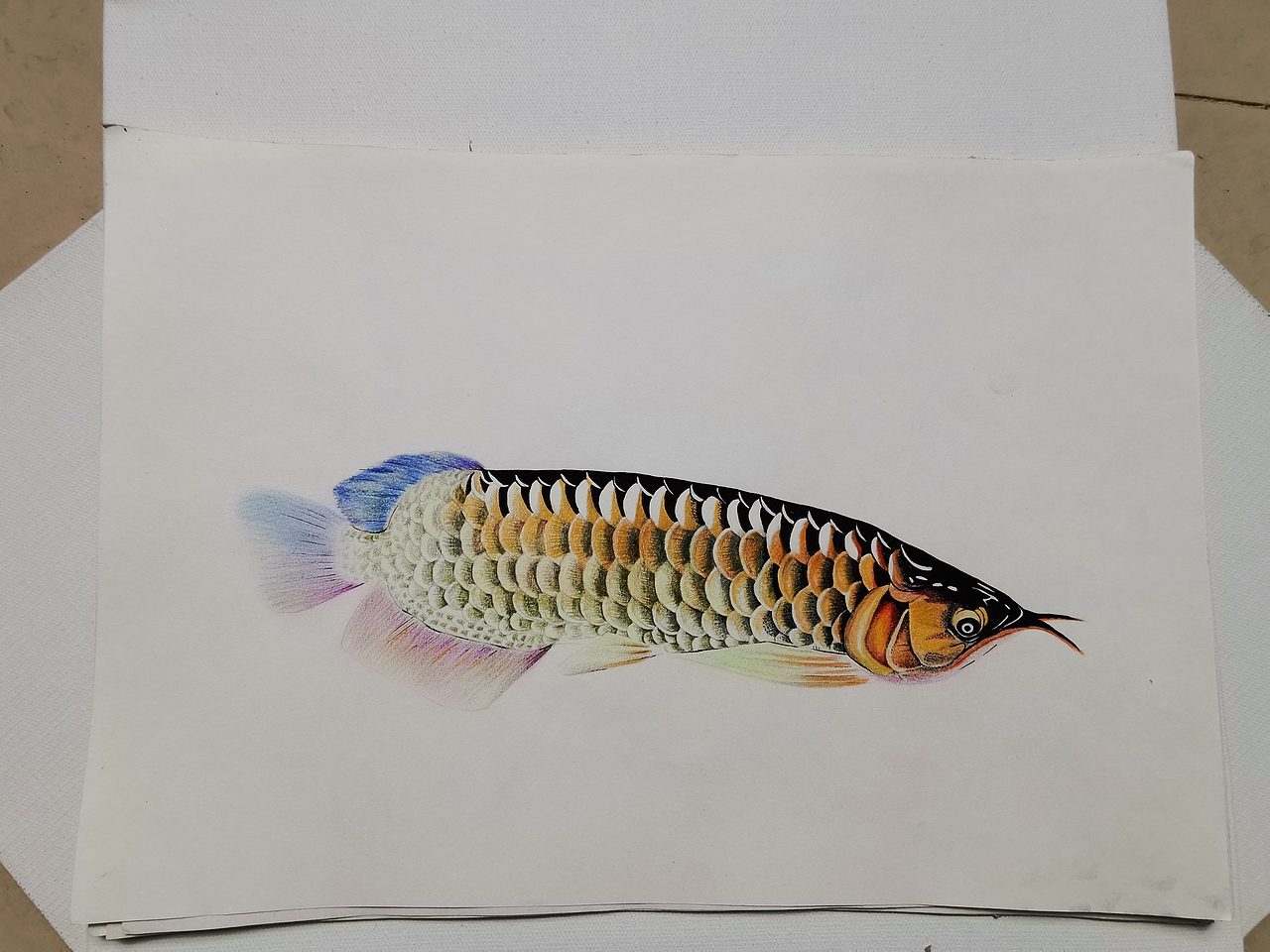 油画彩铅小练习—临摹