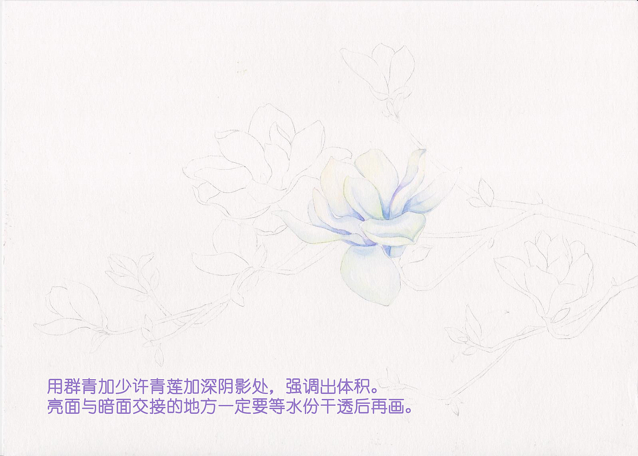 《二十四番花信風》水彩花卉繪畫技法——望春篇（圖ZNTI3ODgyNjg=） - 商業(yè)插畫 - 站酷設計師吳都Jasmine原創(chuàng)素材 - 站酷ZCOOL