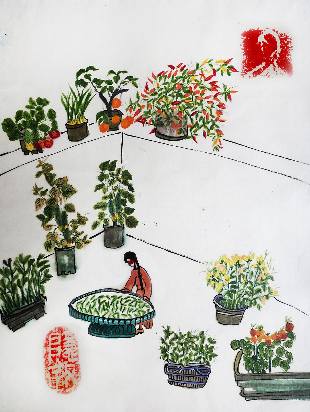 阳台种菜黄瓜辣椒西红柿芹菜|插画|商业插画|隐彰 - 原创作品 - 站酷