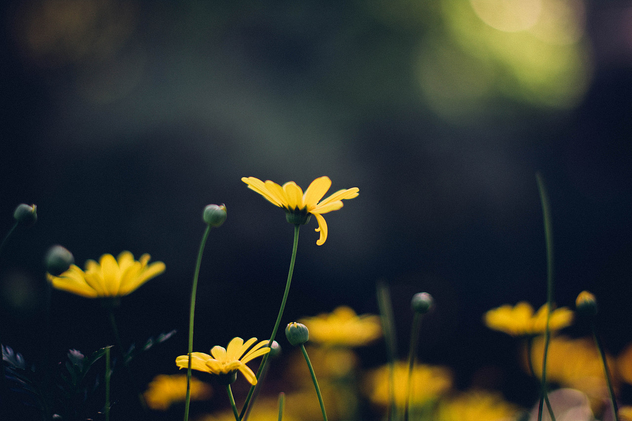 古镇游（图ZMTU3MDMyNDUy） - 风光摄影 - 站酷设计师小不高兴原创素材 - 站酷ZCOOL