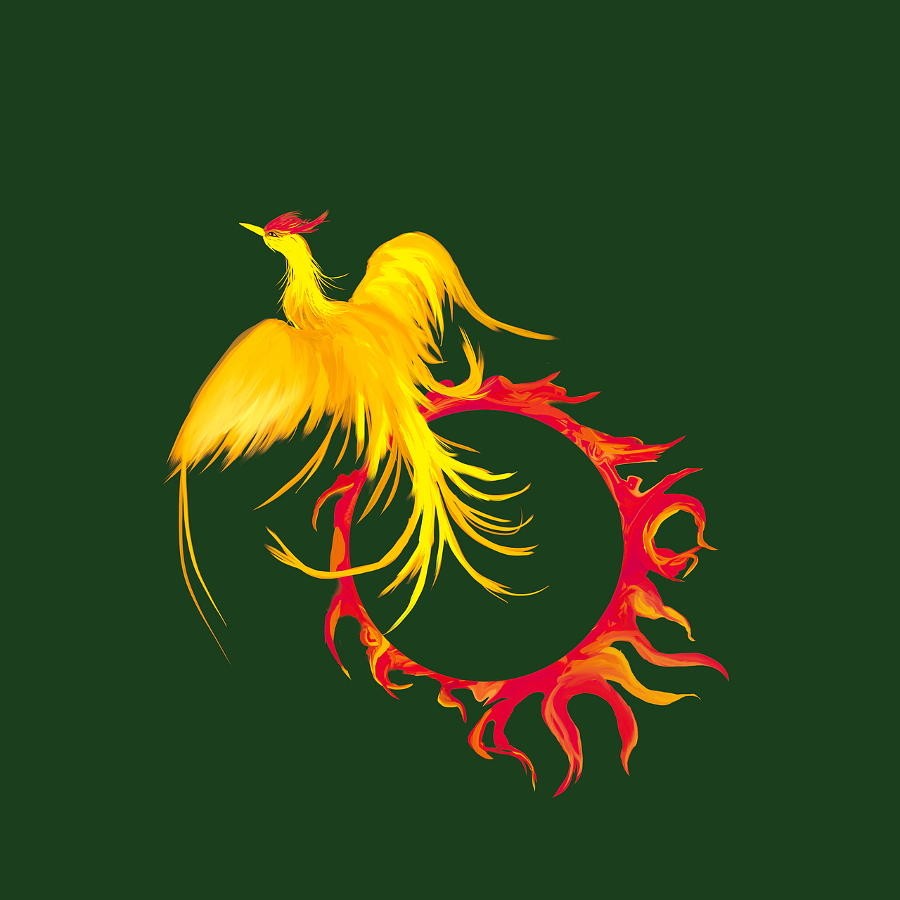 山海经金乌系列