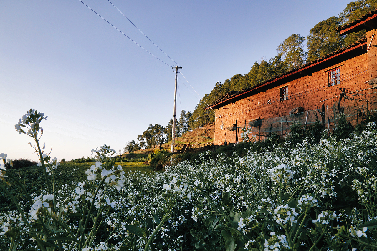 2017年春节回家村子里面（图ZMzU2OTc0MjQ0） - 人文/纪实摄影 - 站酷设计师焦虑到掉头发原创素材 - 站酷ZCOOL