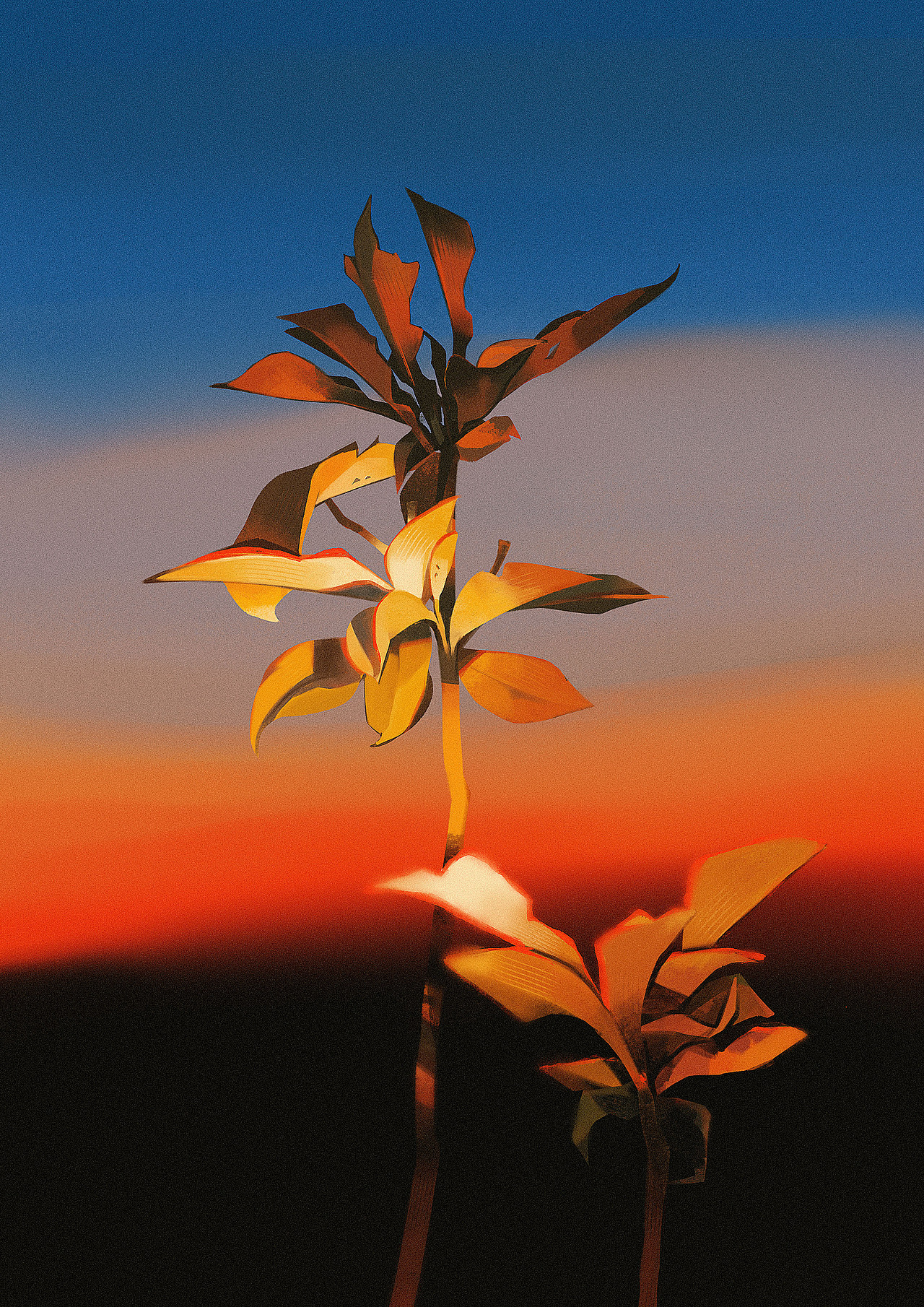 十柒的色彩60天挑战（上）