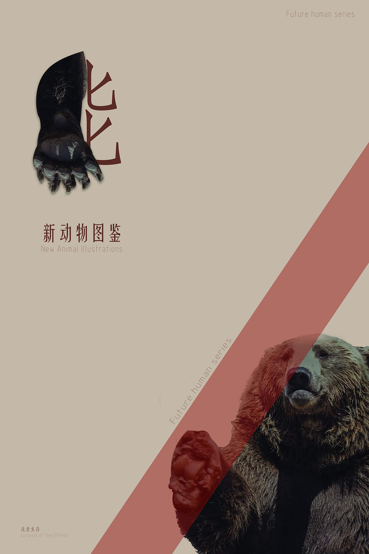 新动物图鉴（1-3）（图ZMTA5ODUwMTYw） - 宣传物料 - 站酷设计师阿克莱孩子原创素材 - 站酷ZCOOL