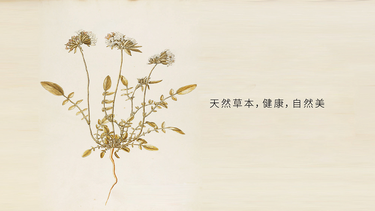 LOGO升级 化妆品LOGO 化妆品vi设计 化妆品包装设计(图ZMTI1NjUzNDUy) - Logo - 站酷设计师郑昌洪品牌vi包装原创素材 - 站酷ZCOOL