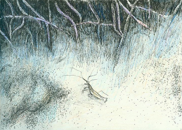 二维动画分镜头 手绘（图ZNDU3ODUxNDA=） - 商业插画 - 站酷设计师一米阳光0920原创素材 - 站酷ZCOOL