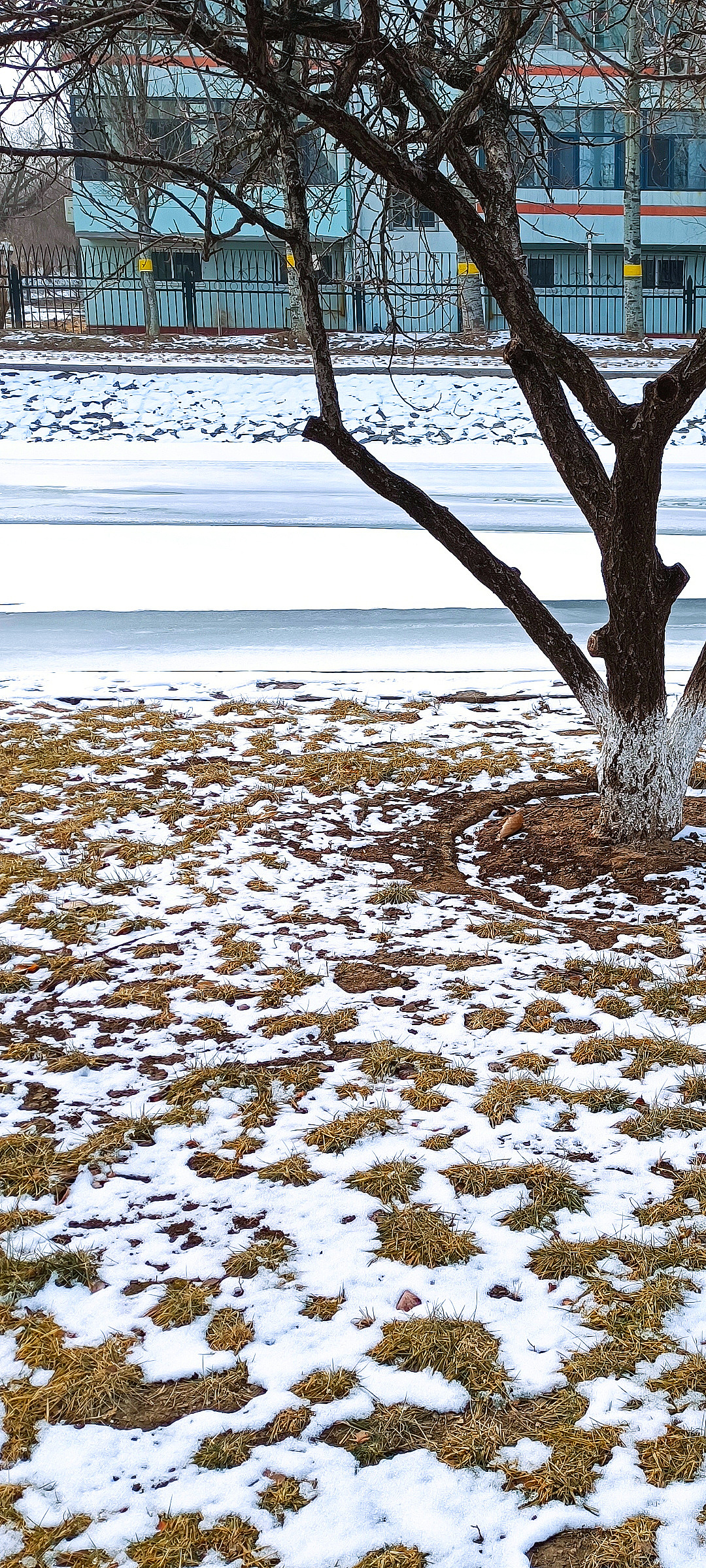冰雪 树枝（图ZMjg2MzYwNzAw） - 风光摄影 - 站酷设计师设计师一大秦原创素材 - 站酷ZCOOL