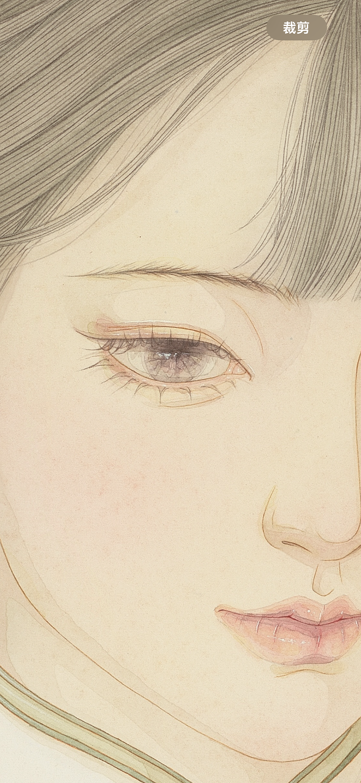 竹（图ZMzgxMjczOTgw） - 艺术插画 - 站酷设计师艺安Ane原创素材 - 站酷ZCOOL