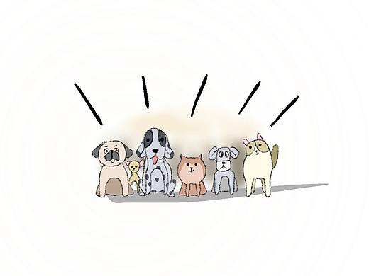 一分漫 | 火腿肠引发的灾难