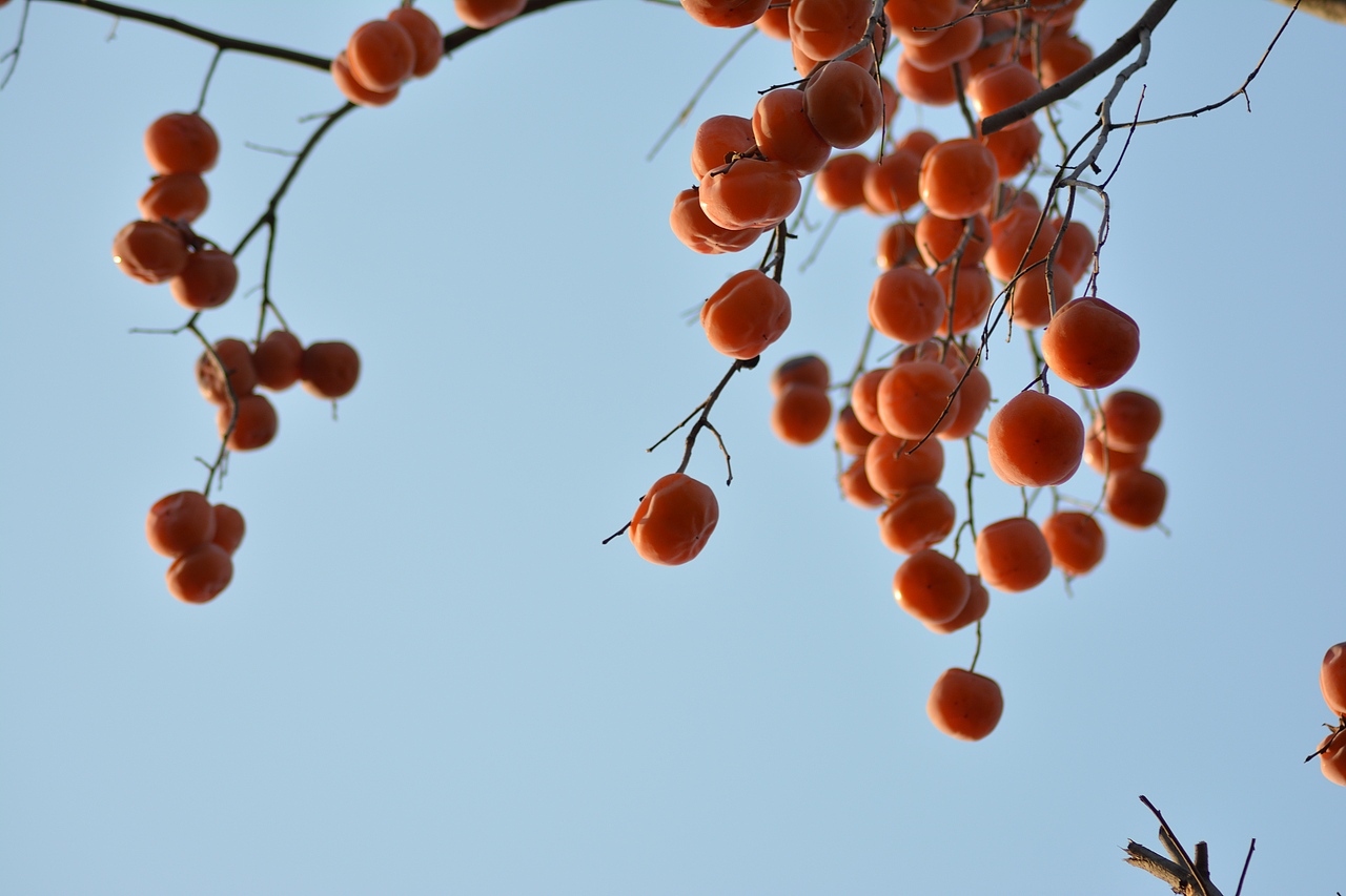 好美！震撼到我的不只是色彩～（图ZNjQ2MTk2Mjg=） - 环境/建筑摄影 - 站酷设计师我的瞬间艺术原创素材 - 站酷ZCOOL