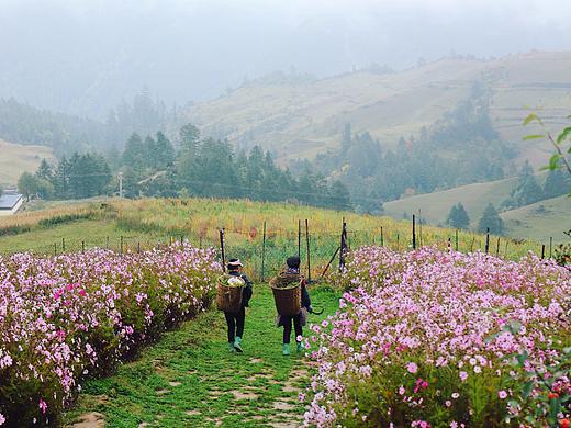 云南·遗失的美好