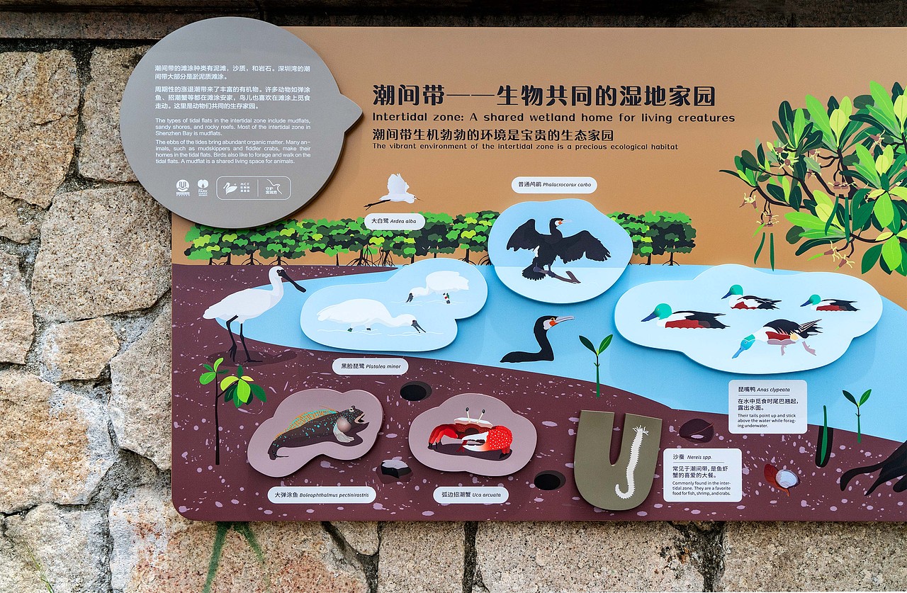 深圳湾公园湿地主题解说牌