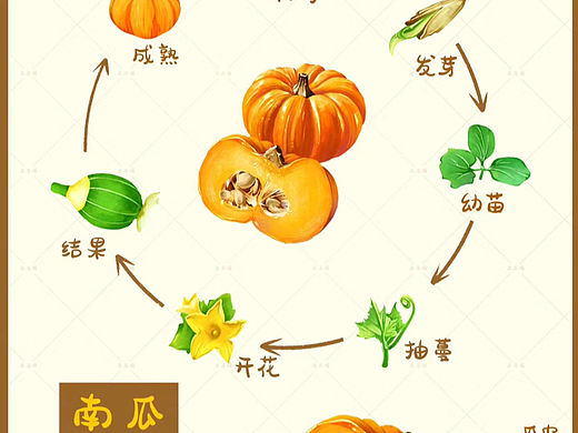 给儿子画的认知卡片