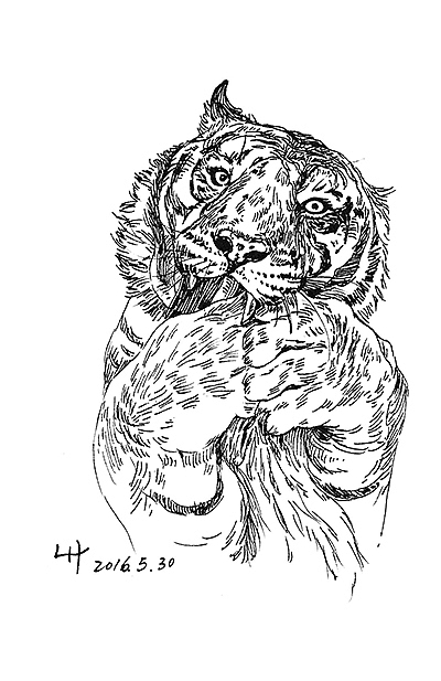 中午有块骨头塞牙了…