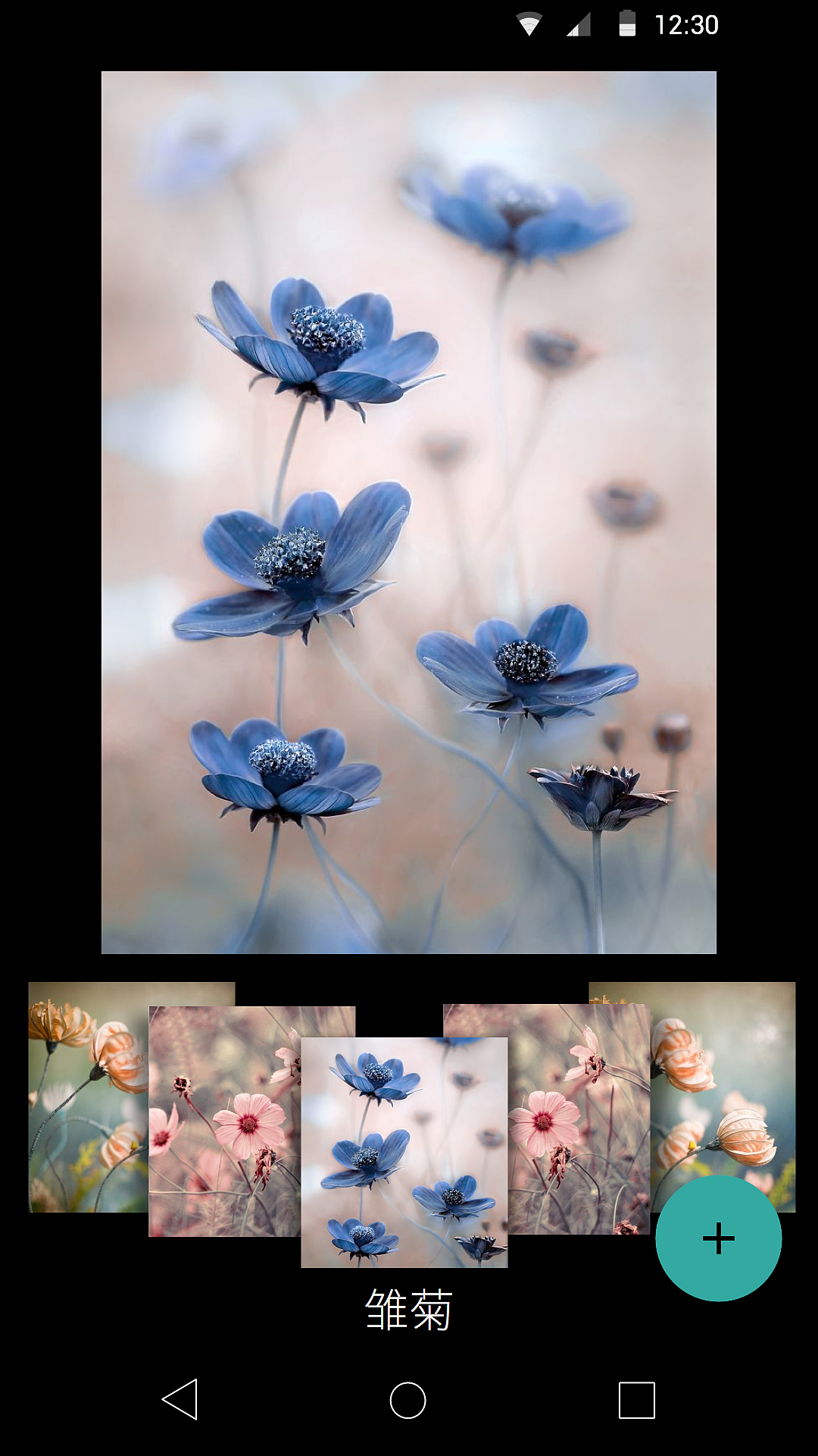 《拍叶》安卓版动效视频