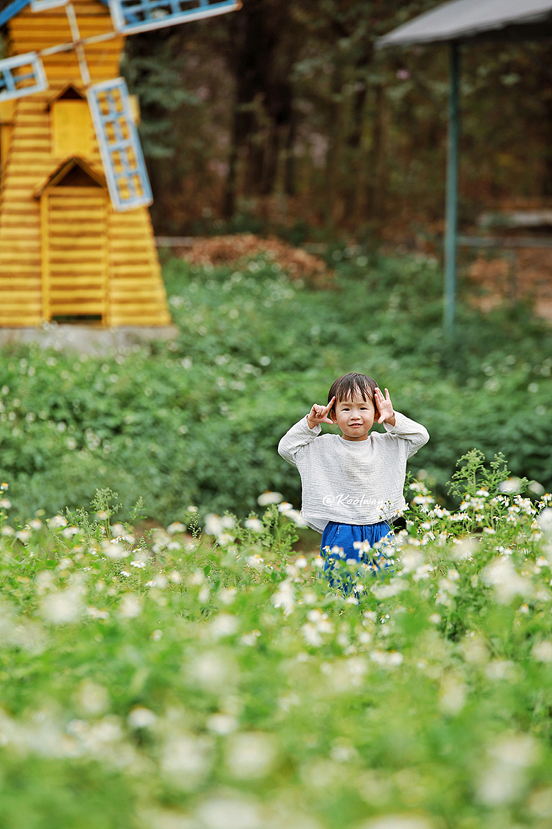 一起唤醒这片大地
