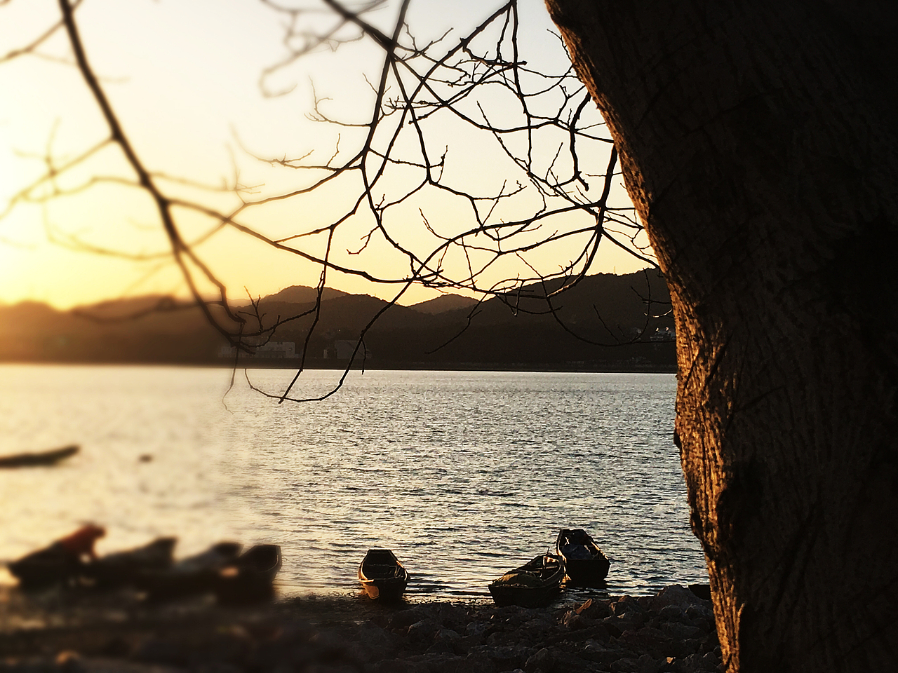 枯竭 黄昏 霓虹