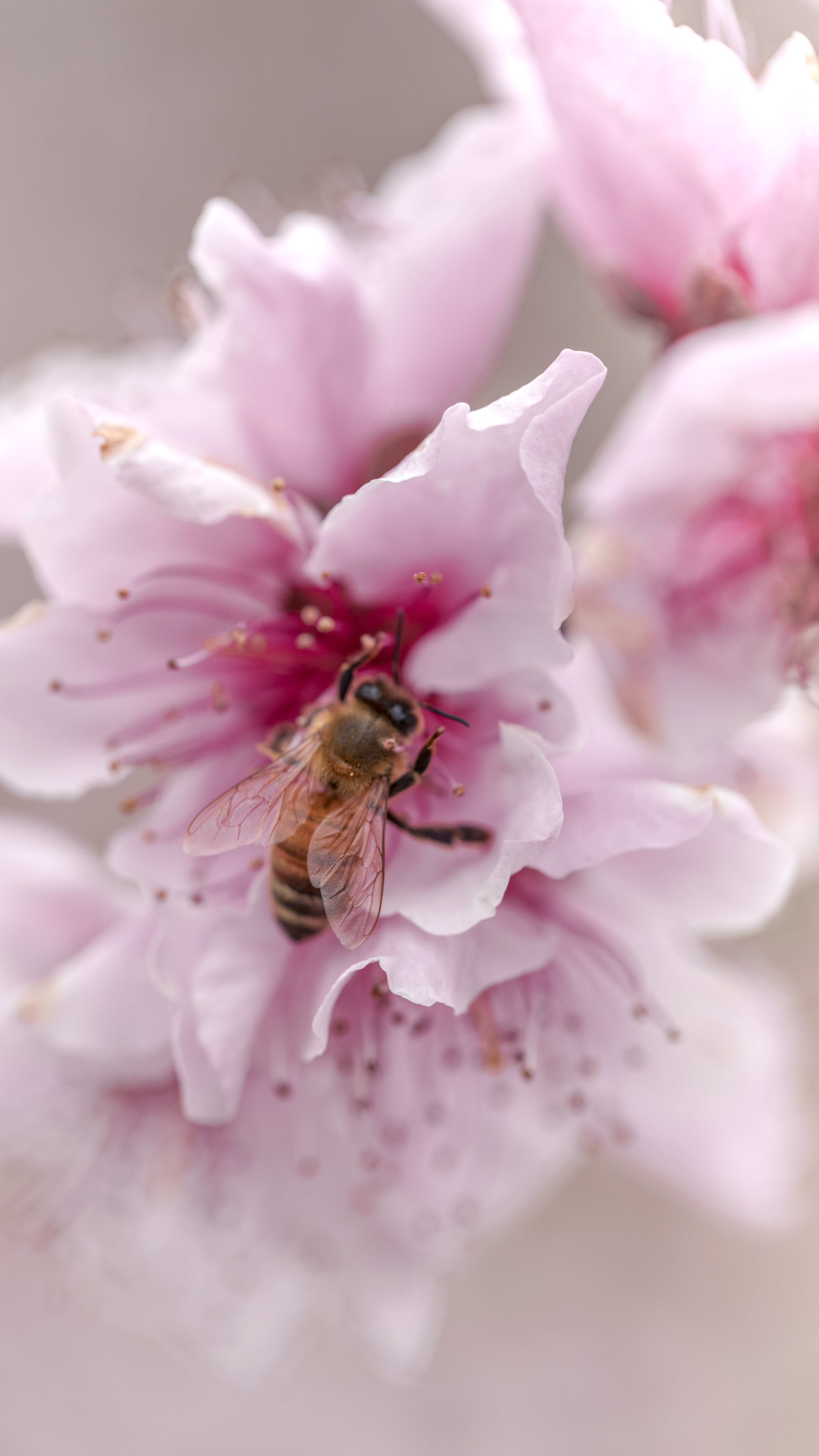 摄影|教程|喜尚商业摄影 - 原创文章 - 站酷 (zcool)