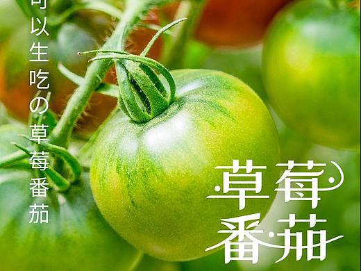 芭蕾鲜境-草莓番茄