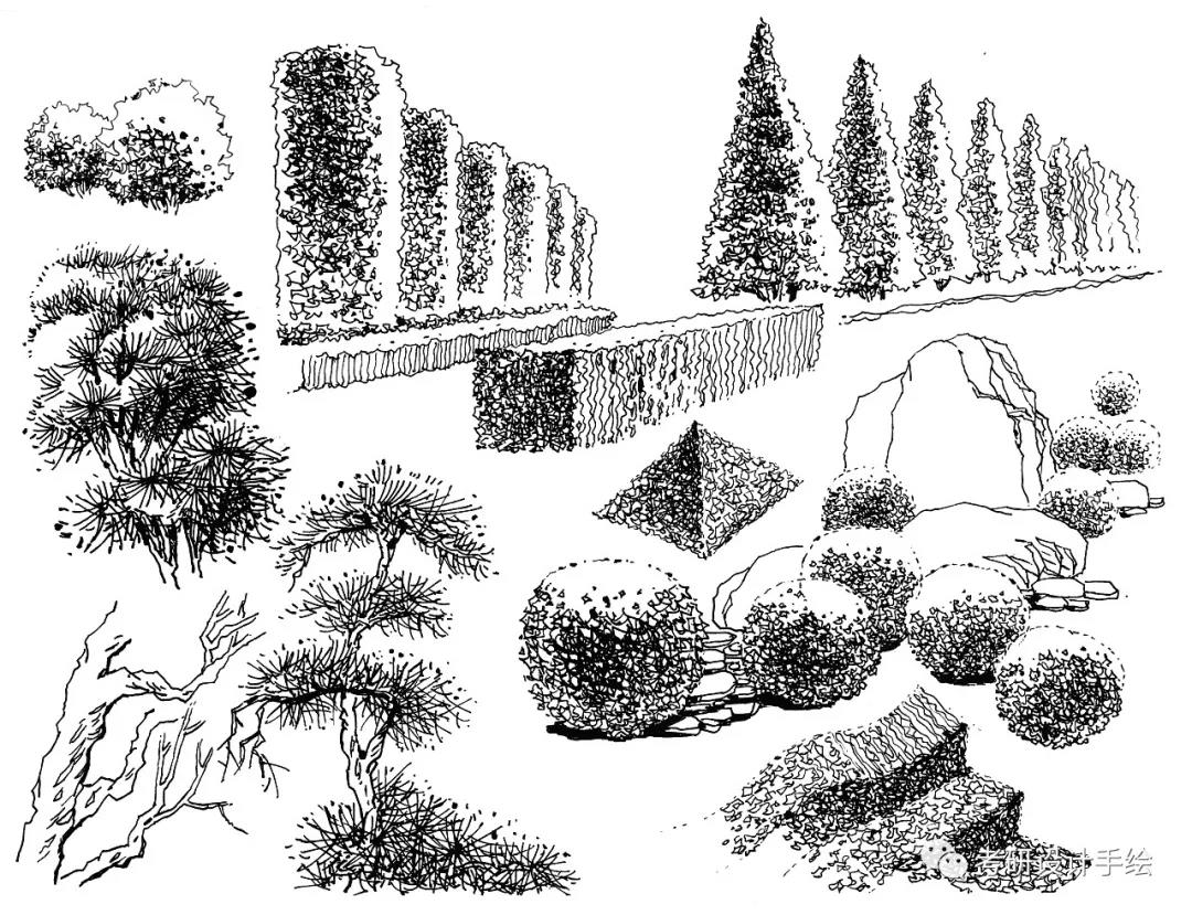 针叶树平面图例图片