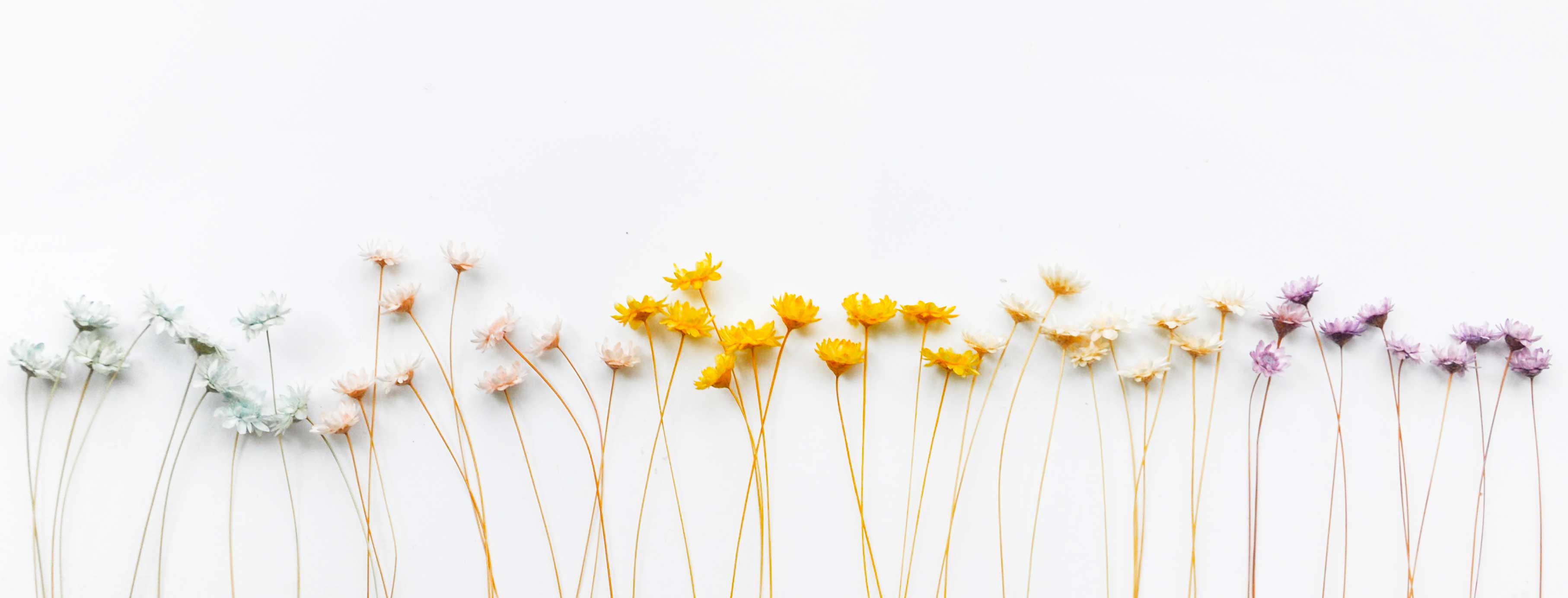 JongHyunCRAZY的個(gè)人主頁（背景預(yù)覽） - 主頁背景設(shè)置 - 站酷設(shè)計(jì)師JongHyunCRAZY原創(chuàng)素材 - 站酷ZCOOL